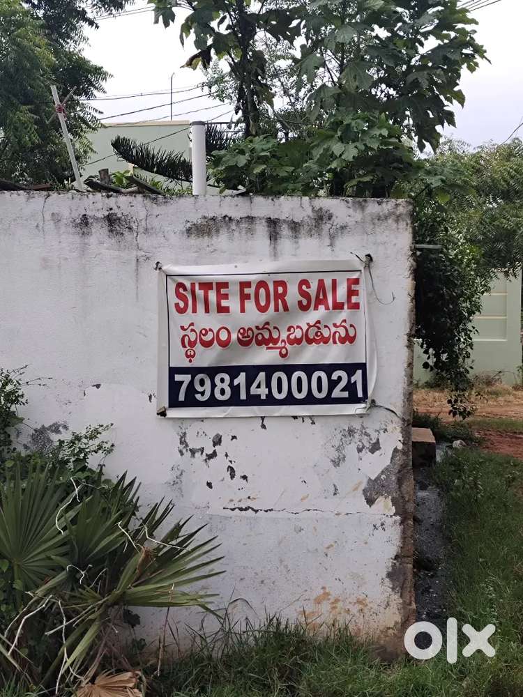 42Sq Yards land for sale in kkd, sarpavaram
Kakinada