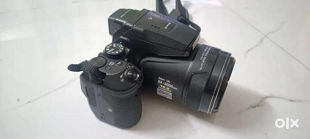 Zoom camera for bird lovers