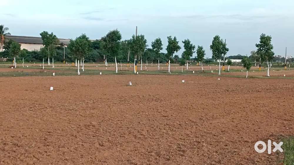 నెల్లూరు విమానాశ్రయం సమీపంలో ప్లాట్ అమ్మకం 18 అంకనాలు 7.5 లక్షలు !!!