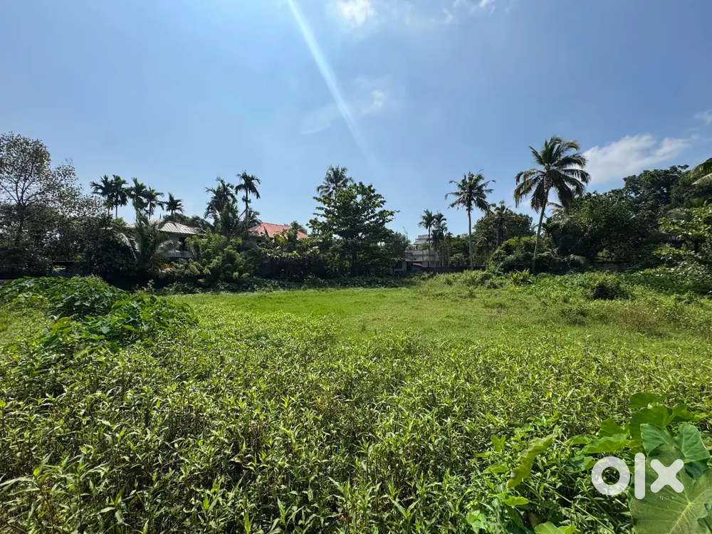 10 cent vacant land 4.5 lakhs per cent