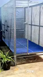 Powder Coated Cage for Dogs