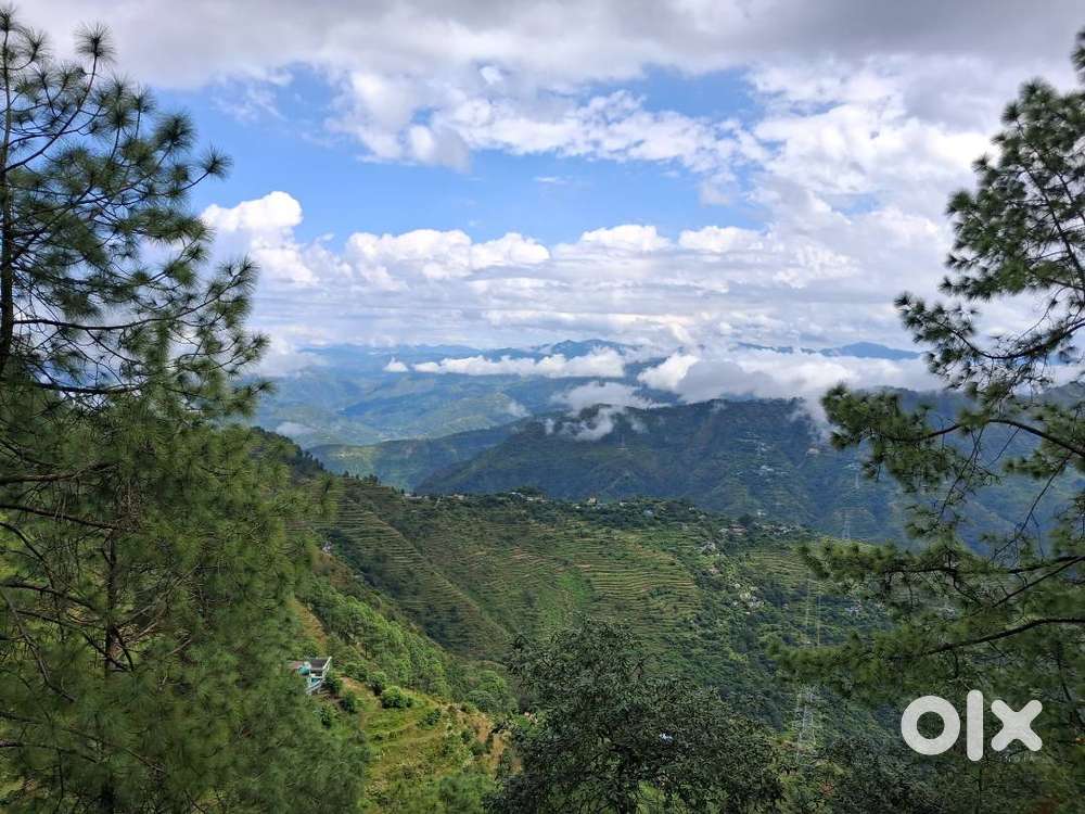 5 nali available for sale near Hayat hotel, Jaihrikhal, near Lansdown