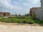 लखनऊ सिटी में प्लांट कर दे फैजाबाद रोड से 2 km Kisan path से लगा हुआ