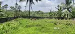 11 Cents land for sale in PALLIKKARA ACHAPPANKAVALA