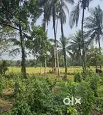 10 Housing Plot kannapuram punjavayal