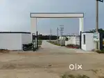 Premium plots