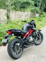 Benelli 300 2019 model
