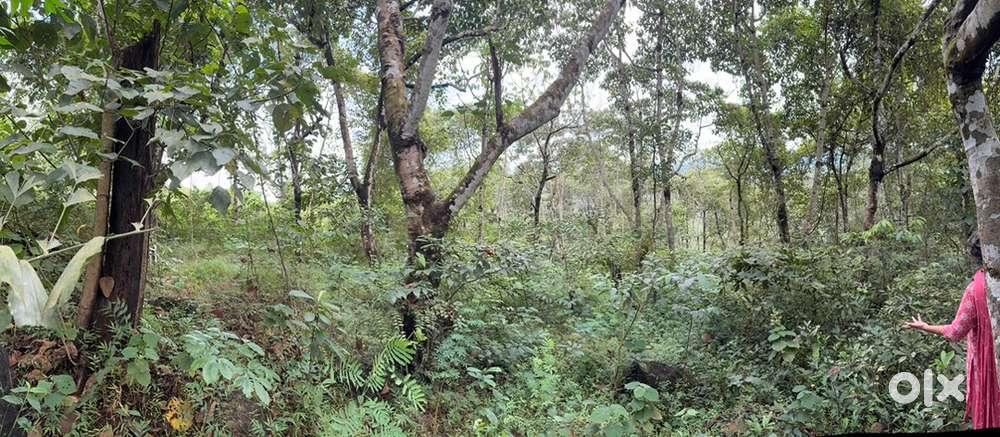 1 Acre Land for Sale at Kizhacombu, Ernakulam District Outskirts