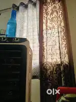 Need a Room partner