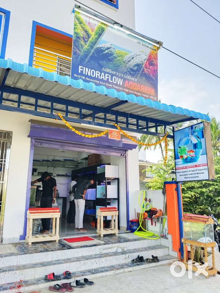 Staff needed for aquarium shop