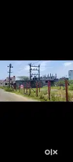 Pallikaranai Tropical colony approved plot for sale