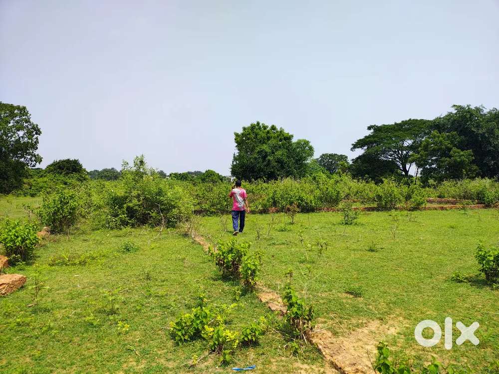 Plot near cuttack for sale