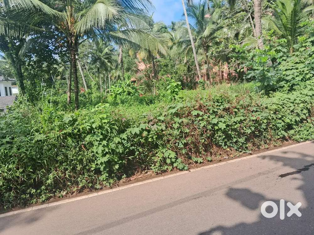 5/6/10 cent,medical college road second plot, fine location