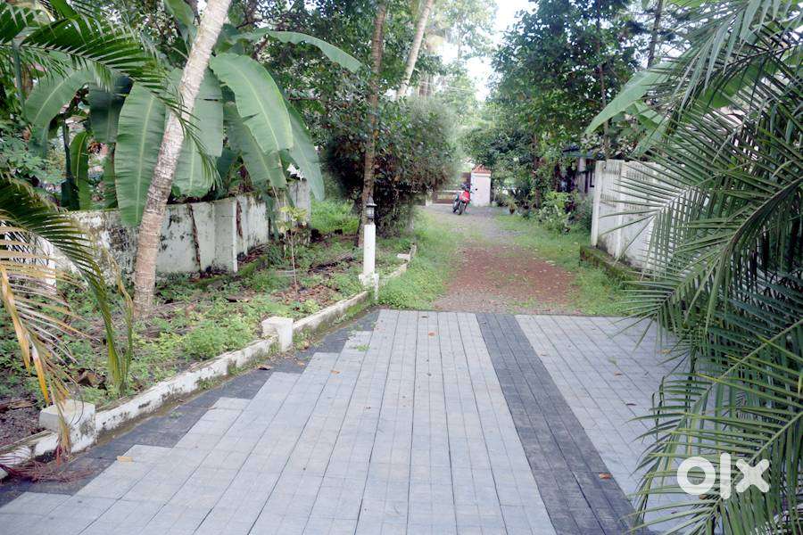 House plot 36 cent near Panampalam 4 lakh/cent