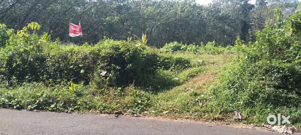 15 cent East facing first plot,PWD Road frontage,