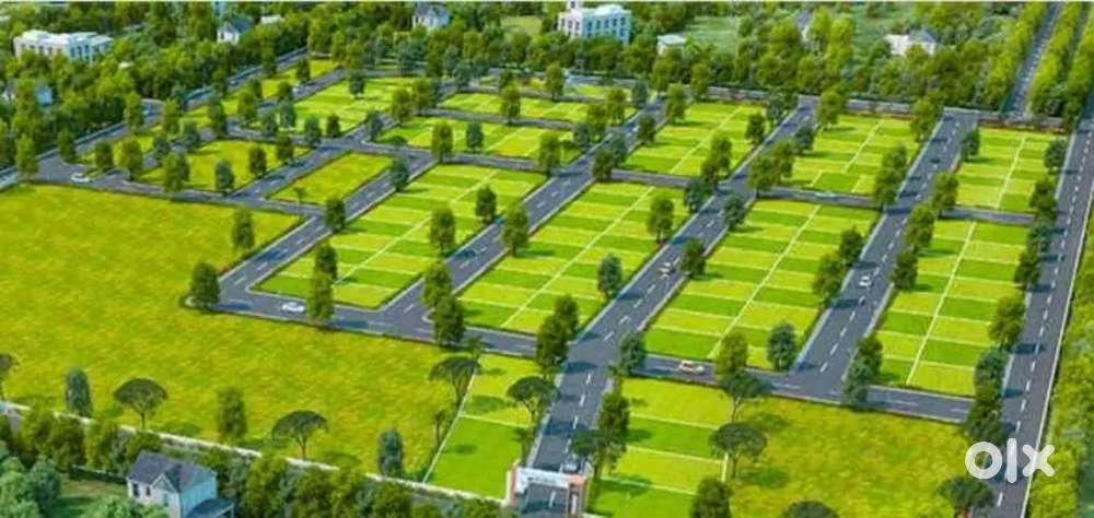 Odisha Sandal wood farming project