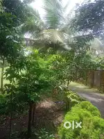 House and plot for sale