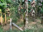Residential Plot for Sale
