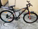 Frog (Ninety one) Granite 40X 27.5 Inch Bicycle