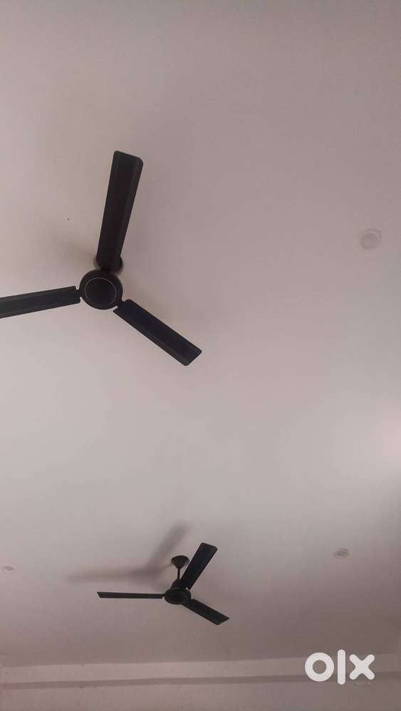 Roommate Needed for 2BHK Flat (Affordable Rent)
