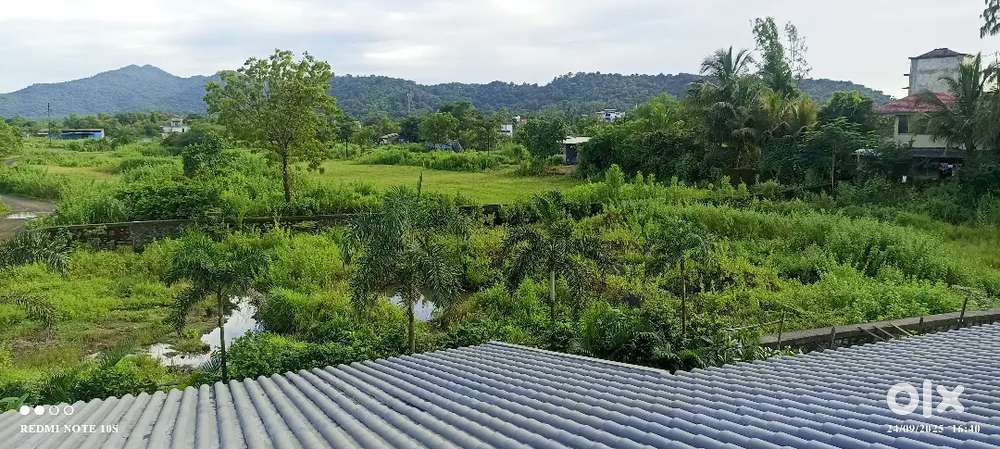 2 Plots Available For Sale Very Posh Layout 30 Feet Layout Road