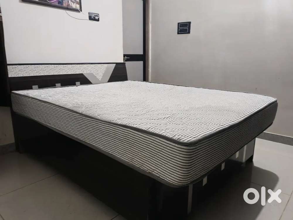 New 6 month old mettras