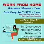 We want telecallers (Female) Work From Home / Data Entry Staffs also