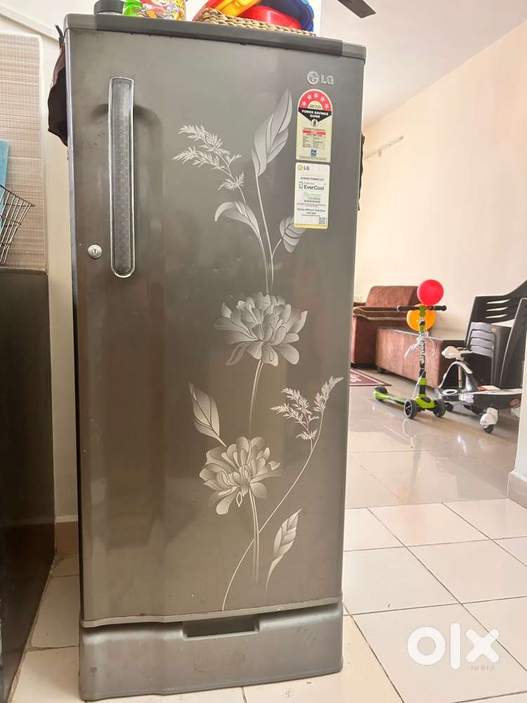 LG Fridge 190 Litre 5 Star