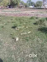 Very very arjent sell