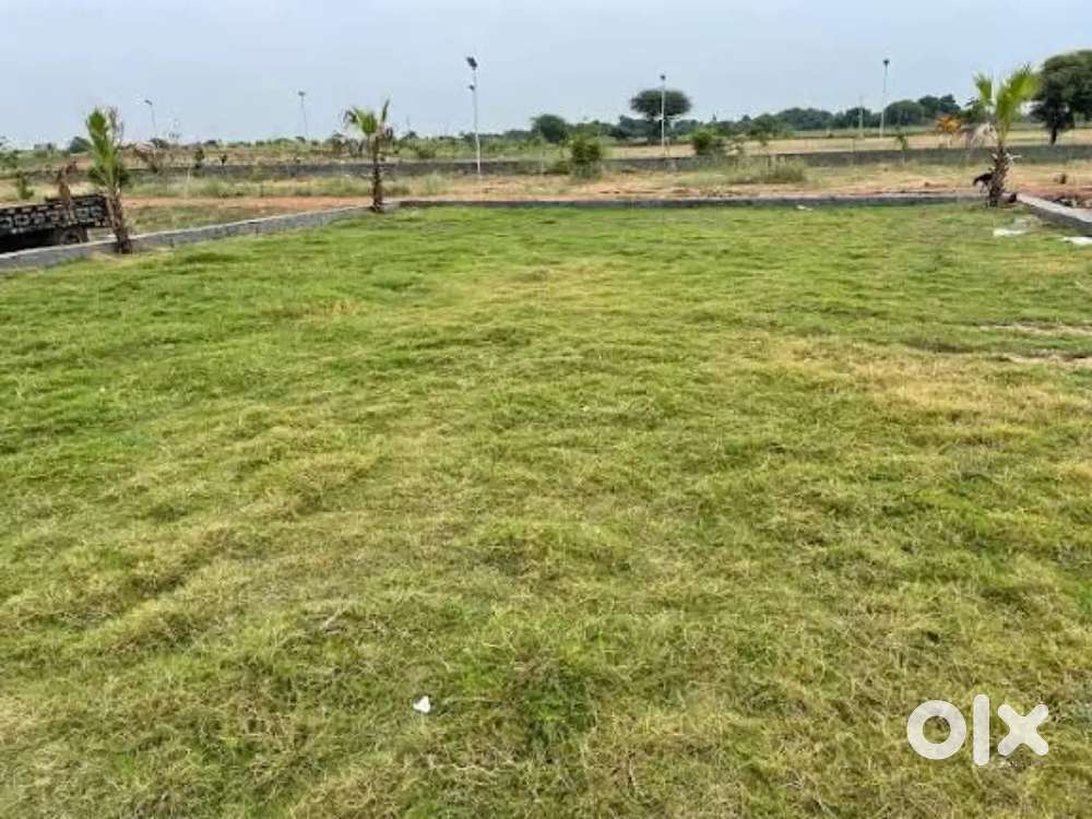 शादी विवाह जन्मदिन आदि पार्टी के लिए खाली जमीन उपलब्ध है