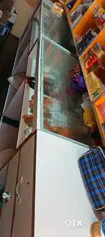 Mobile shop conter  with front on top glass