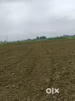 Agriculture land near salai road