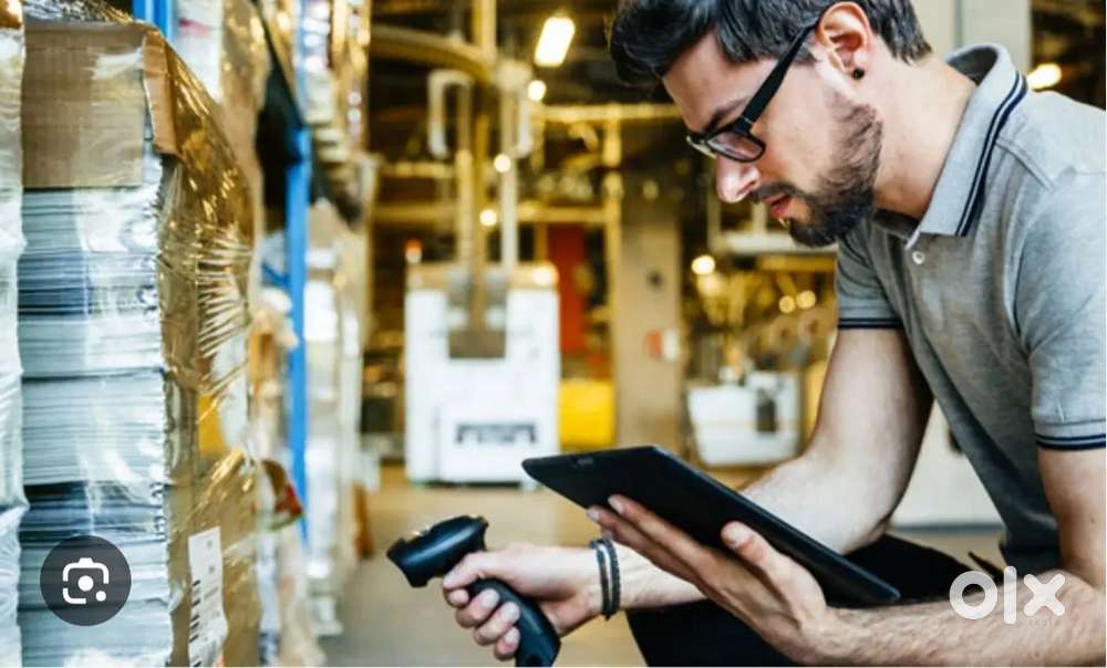 Inside work in zepto store ( Audit Job )