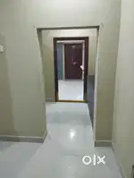 Looking sharing bachaloers