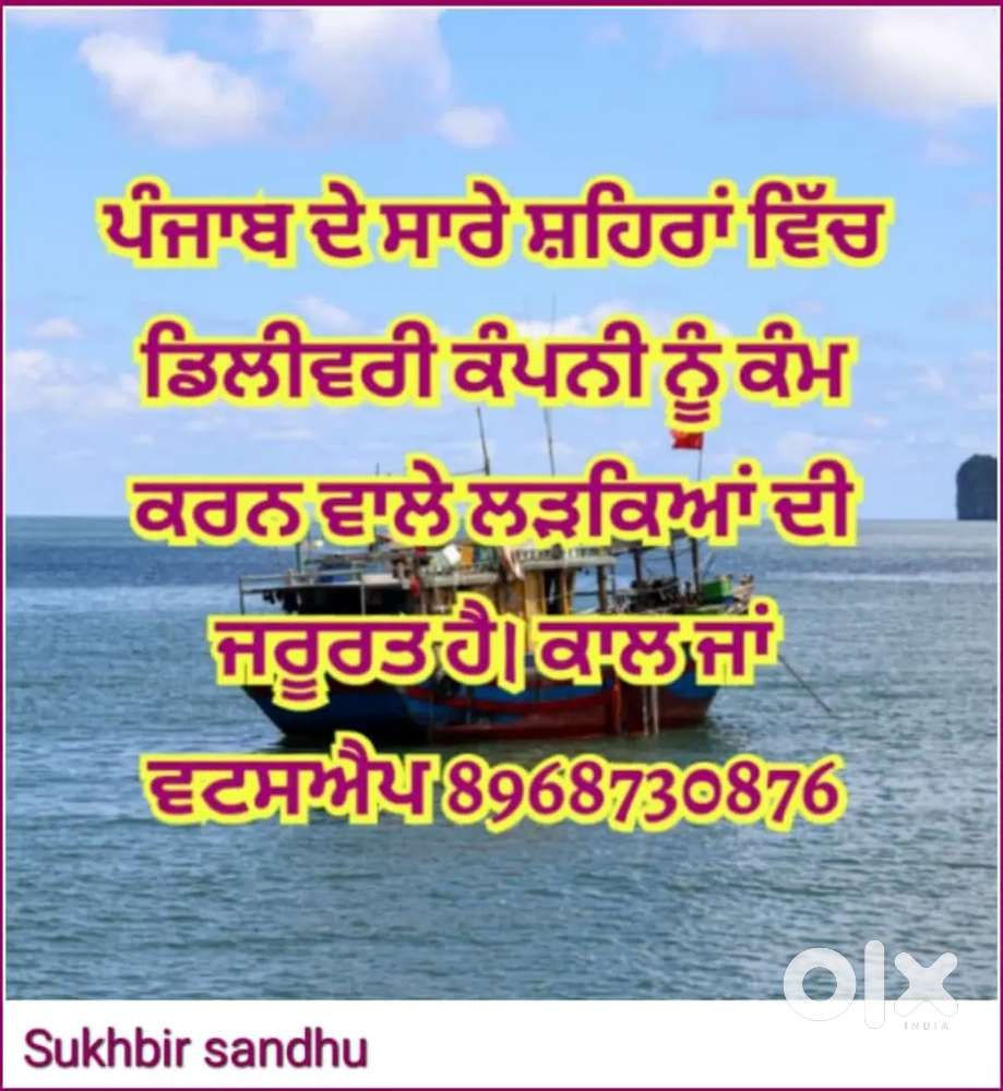 Need delhivery boys in Punjab