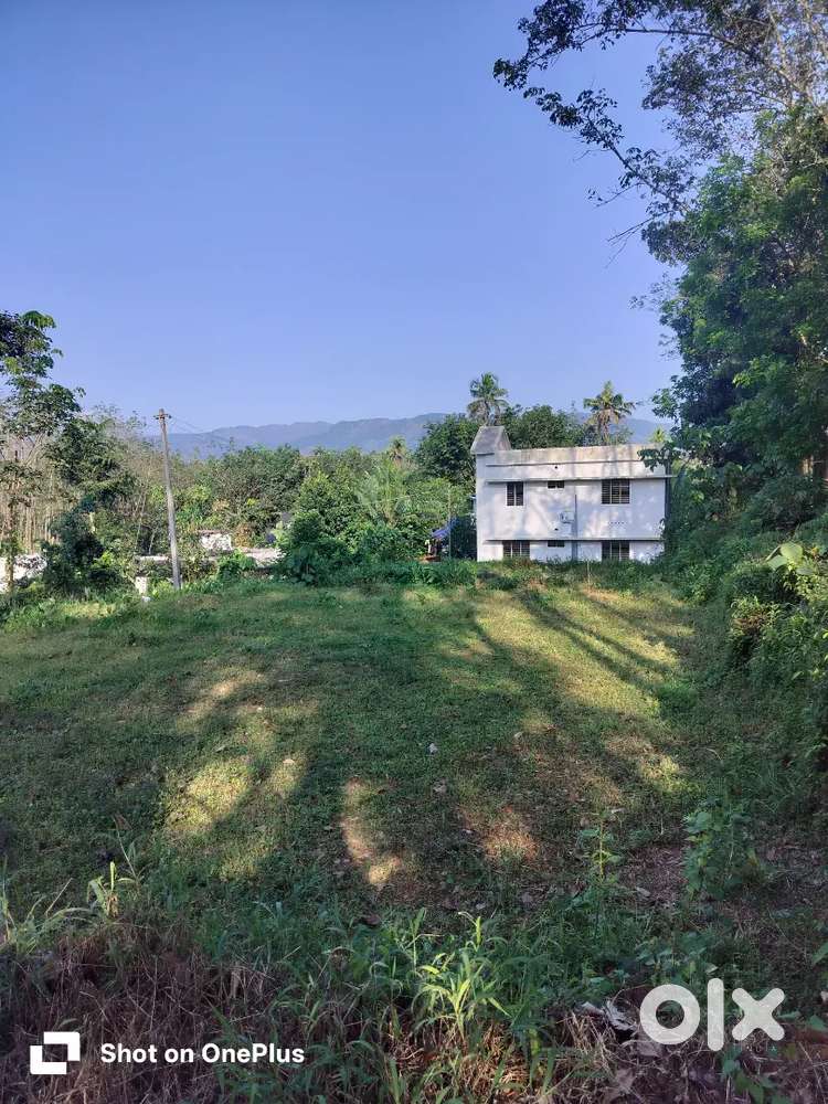 8cent house plot for sale