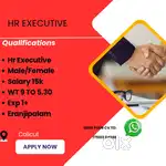 Hiring Hr Executive