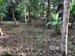 LAND FOR SALE AT PALLIPROM NEAR MUNDAYAD, KANNUR