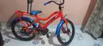 Brand new cycle,