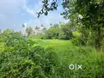 2.5 acre plot for sale