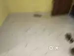 Rent house