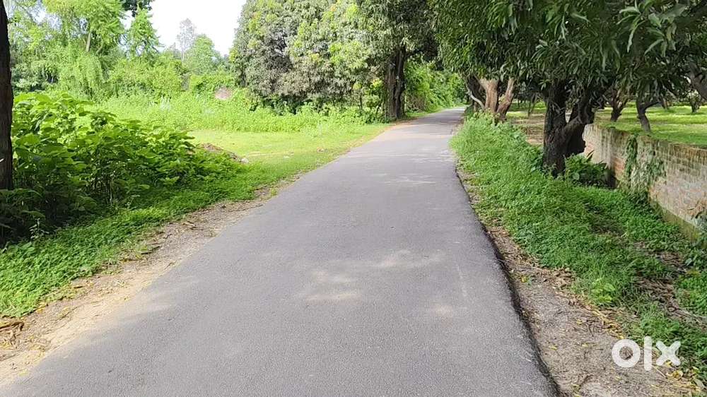 चौड़ी सड़क से लगी जमीन – ऑफिस और कॉम्प्लेक्स के लिए आदर्श