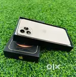 iphone 12 pro max in 256gb book it at reasonable price