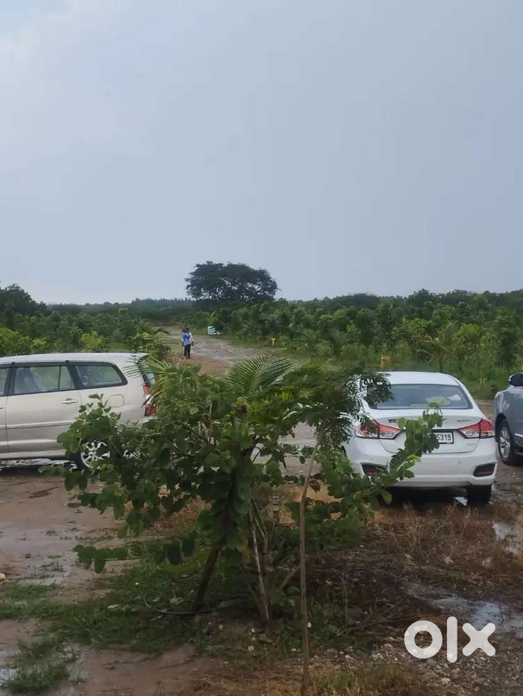 RESORTS CONSTRUCTION PLOTS FOR SALE