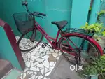 Ladies' Cycle