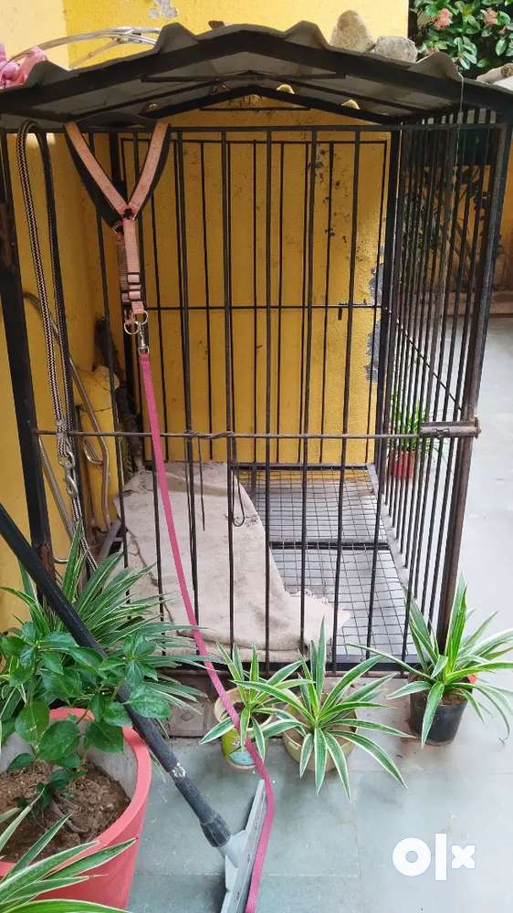 Pet Dog Guage for sale made out of steel bars