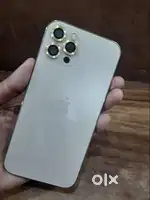 iPhone 12 pro  used model in genuine price