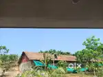 Polutry form with 60sents  land for sale