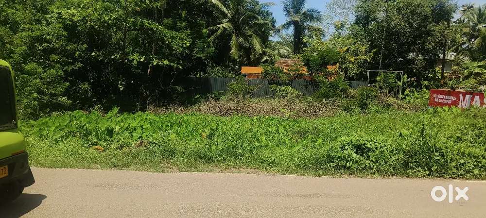 3 cent  land 500 mts from Panagad Bus route square plot at5.9lks cent