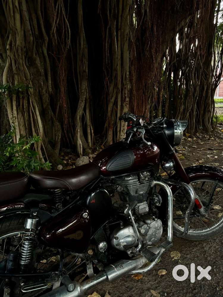 Classic 500 - (2014) model